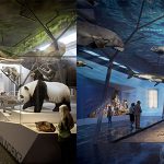 Akustikdecke für Naturkundemuseum Stuttgart: Angenehme Raumakustik und Multimedia-Projektion