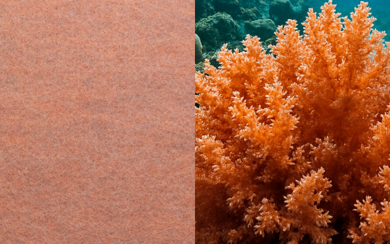 akustikkompetenz-silentprotect-soft-coral